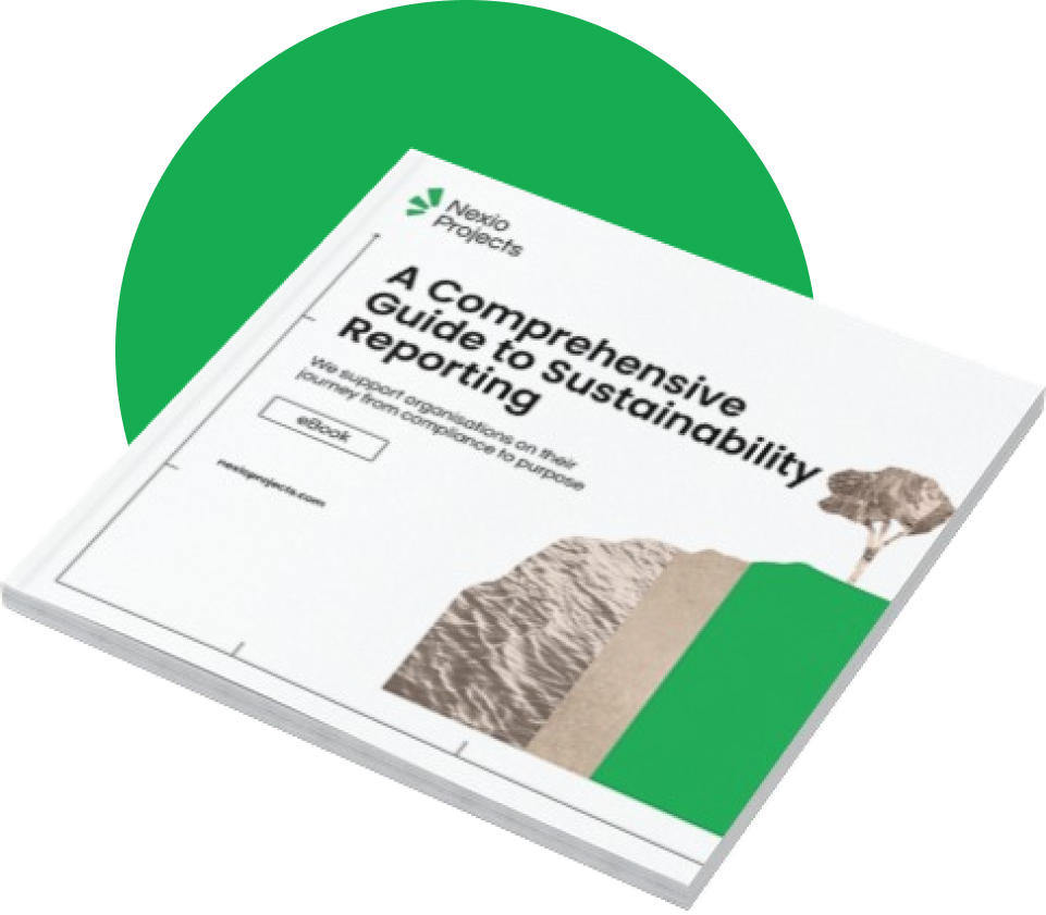 Guide to sustainability reporting